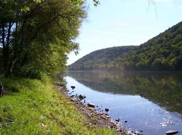 Wildwood on the Allegheny - Fishing and Camping
