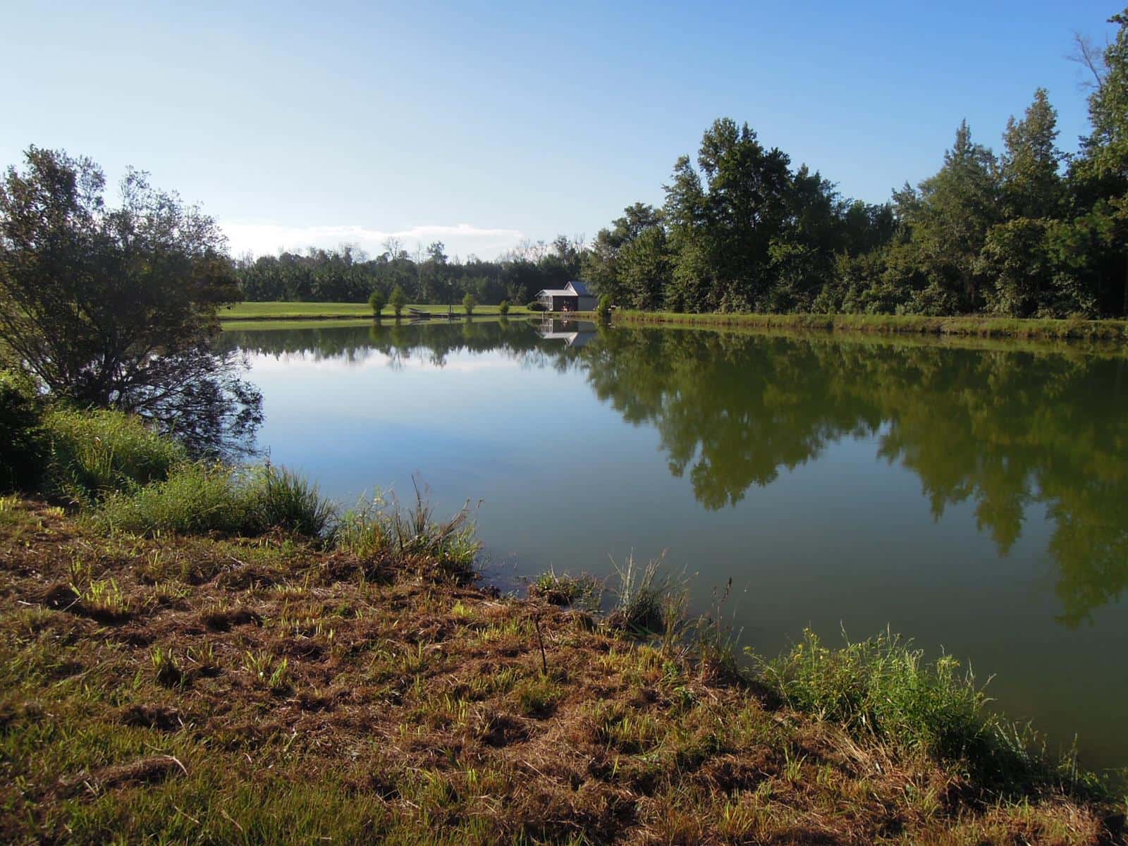 Lee Tree Farm Fishing, Camping, and Target Shooting
