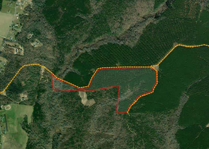 Sycamore Grove 51