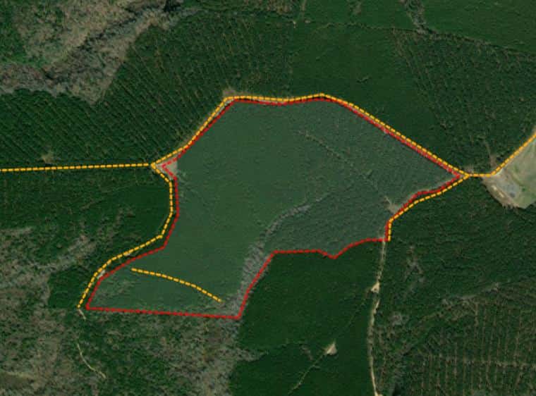 Sycamore Grove 105