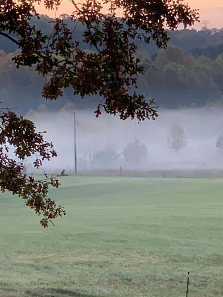 Campsite at the Hayfield, Small Creek & Forest for Memorable Experiences