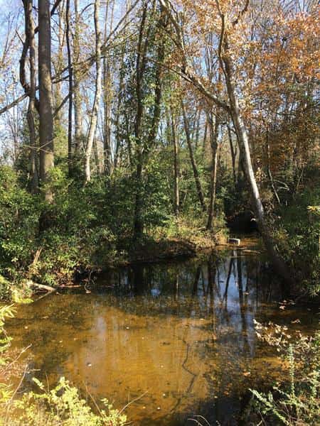 Little Dirt Road Home Place