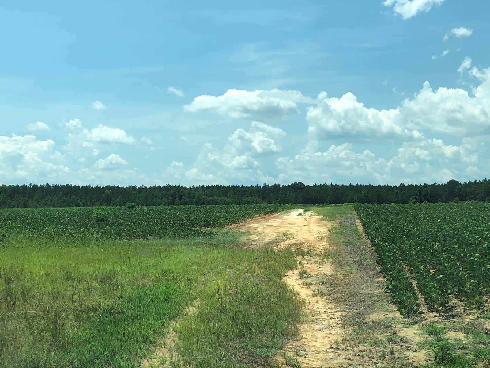 SYKES FARM - Predator Hunting