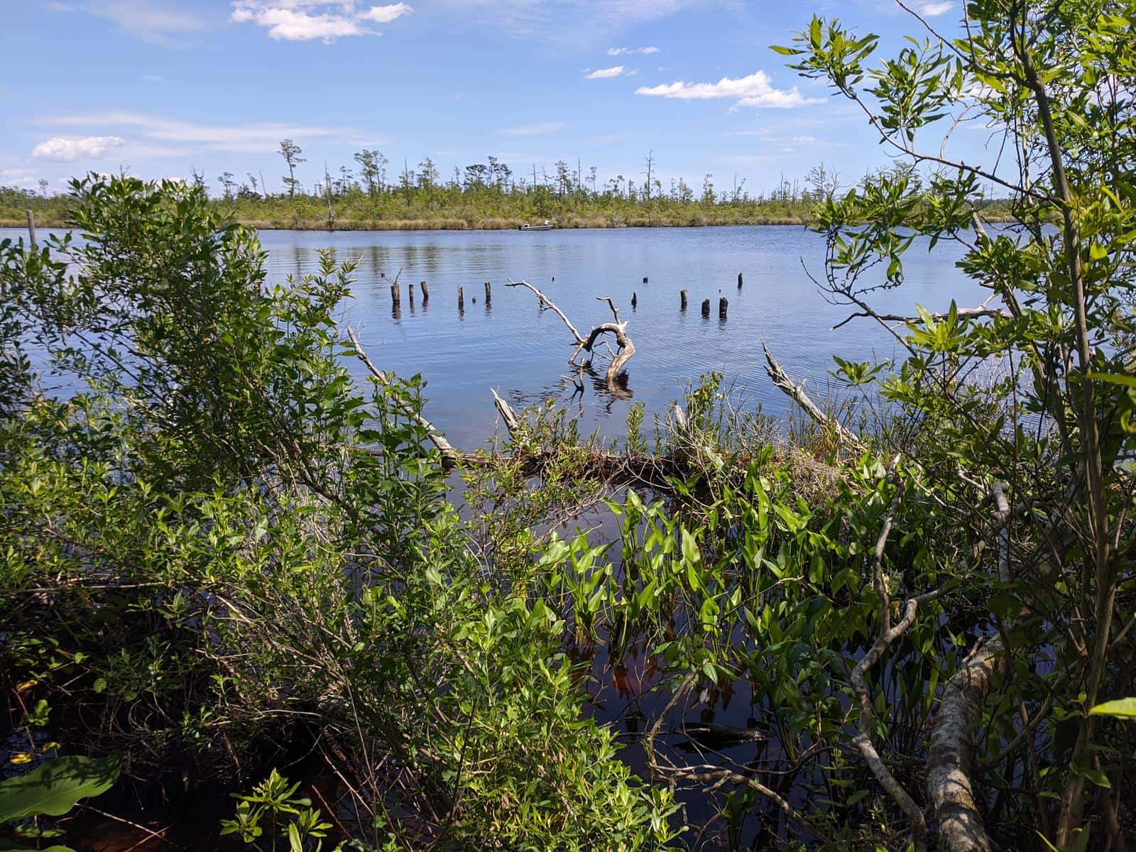 Gator Creek - Fishing and Camping