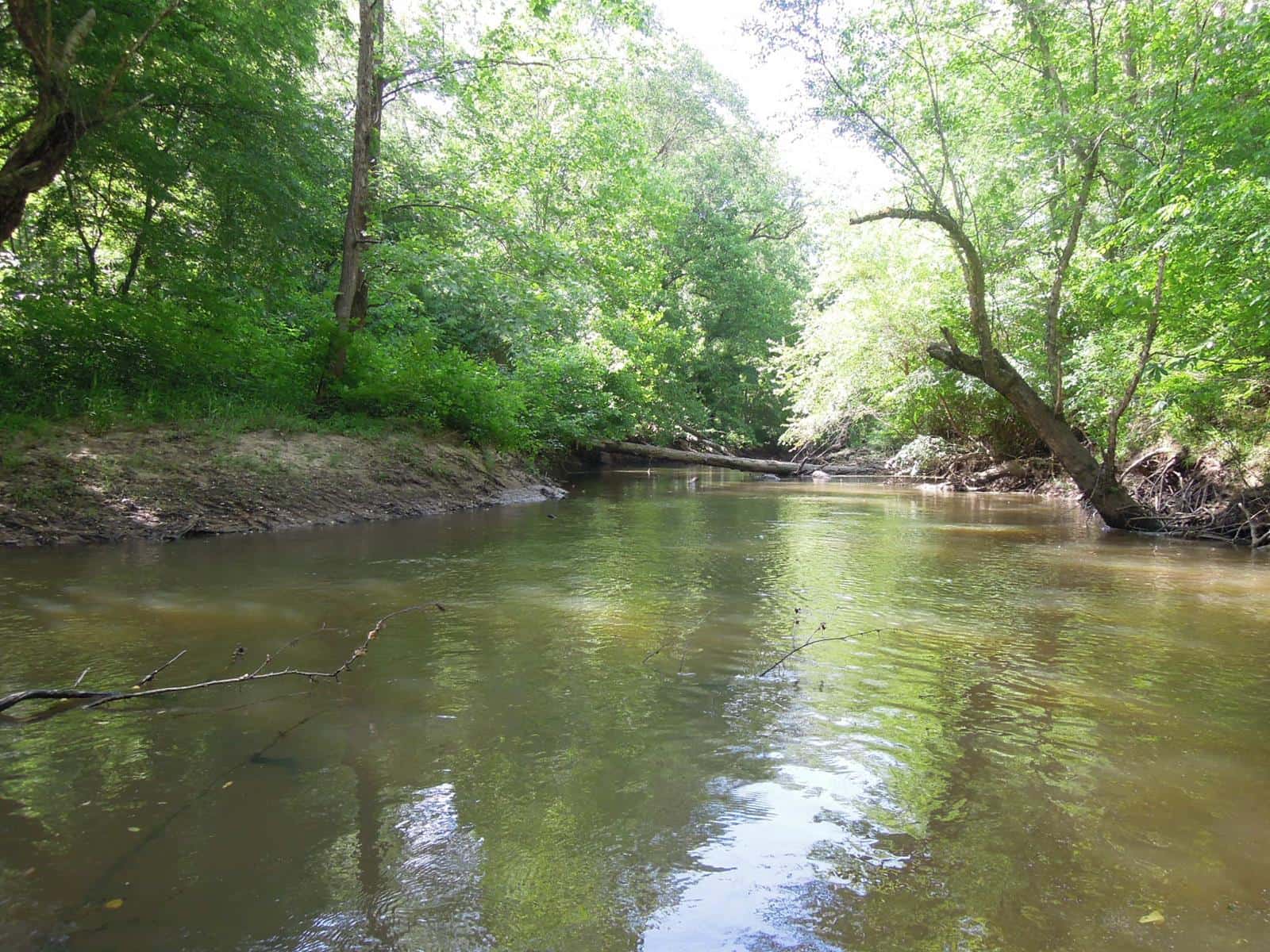 Willis River Hideaway - Hunting, Fishing, and Camping