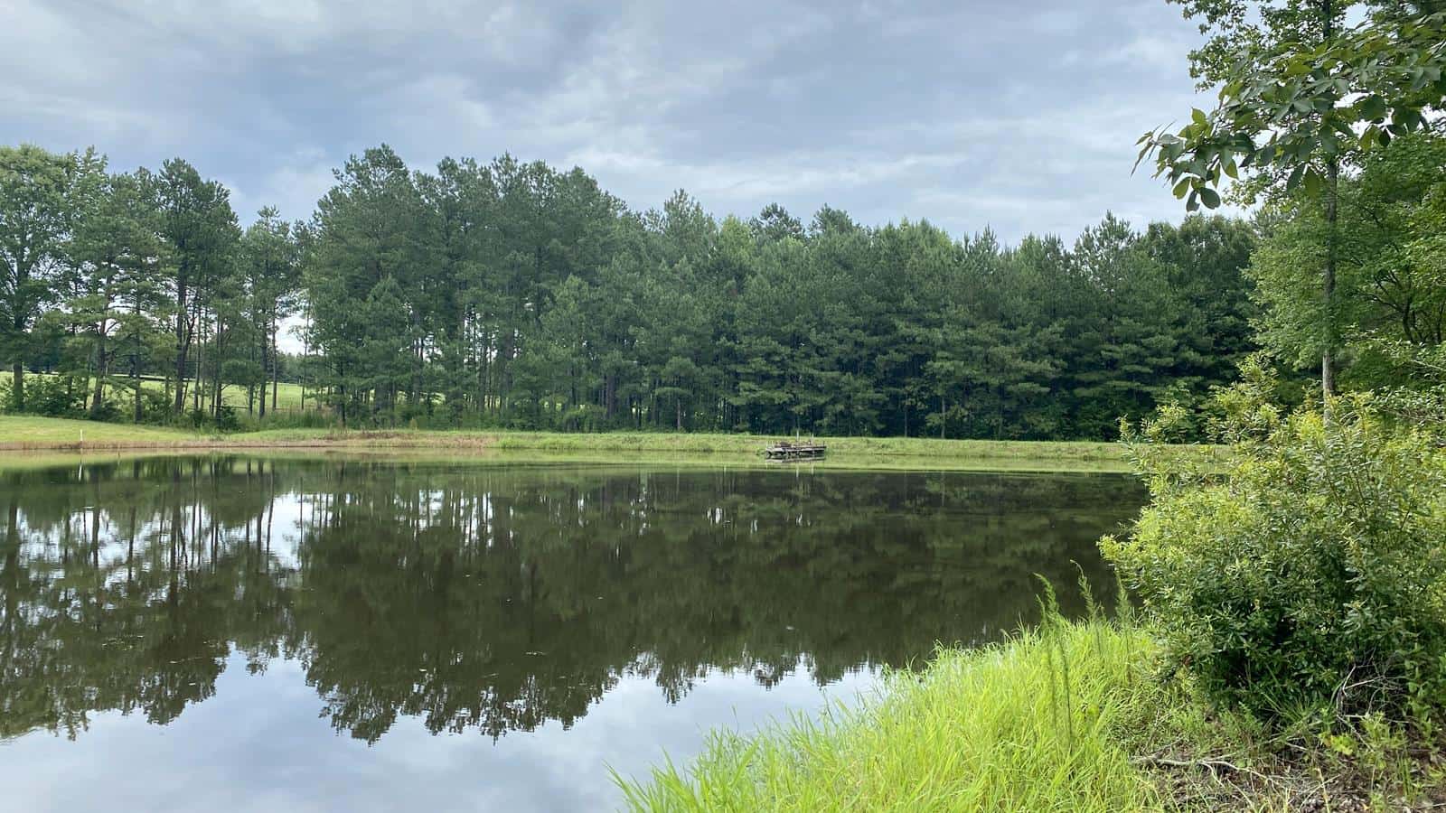 Coleman Recreation - Fishing and Camping