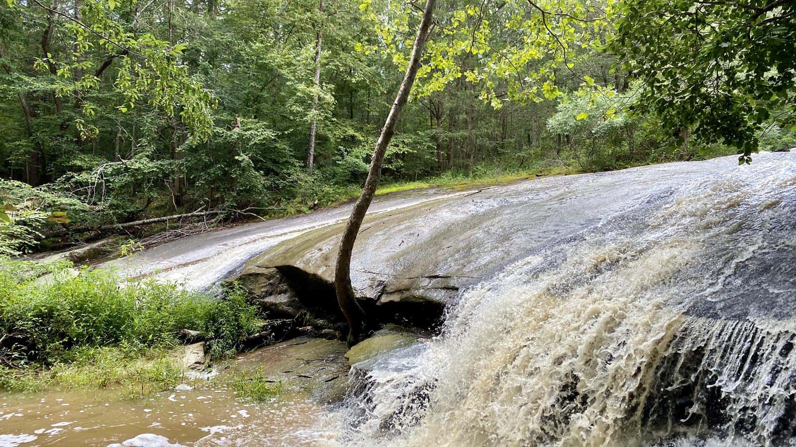 Whittles Mill Camping and Fishing
