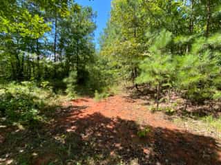 Simmons Creek Hunting