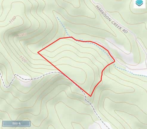 Turkey Mountain Woods