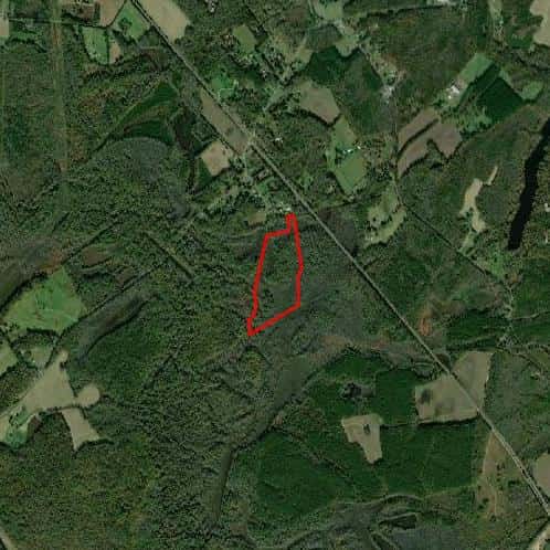 Guinea Station Hunt