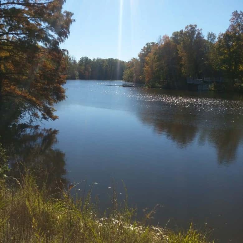 Dragon Pond Fishing