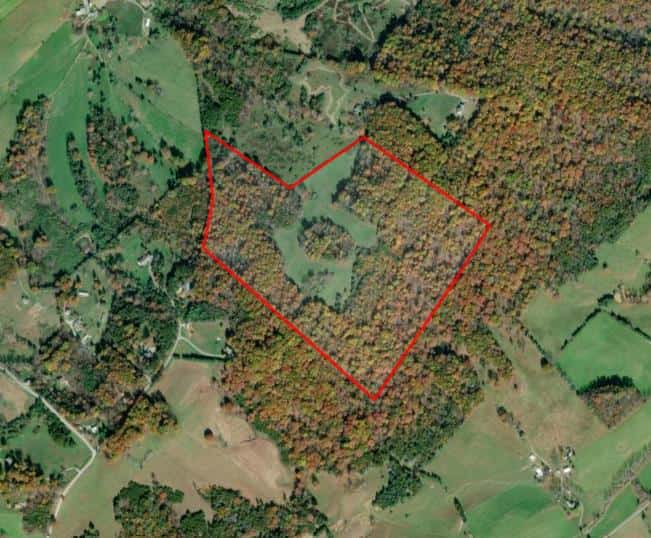 Timber Ridge