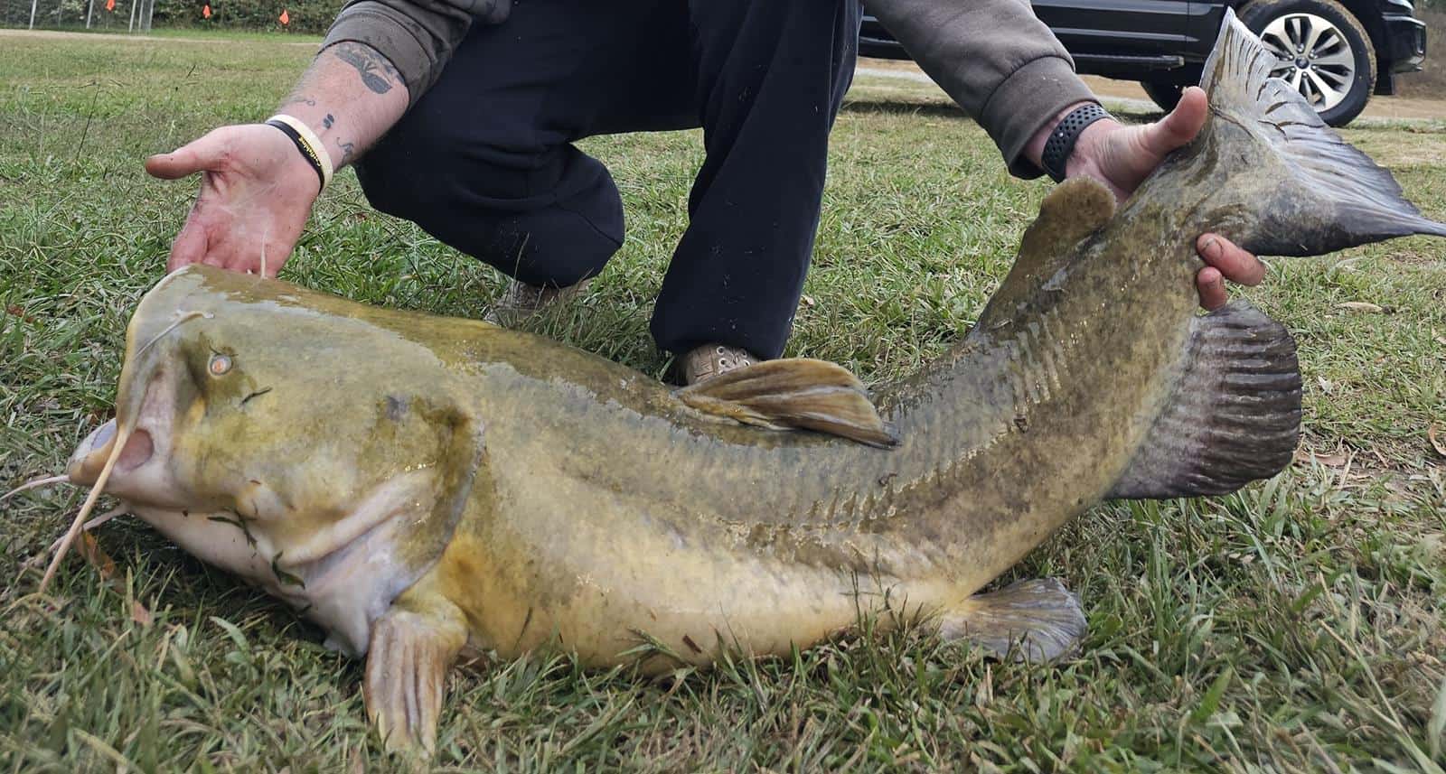 Ussery Catfish Pond
