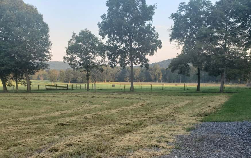 South Bottom Farm