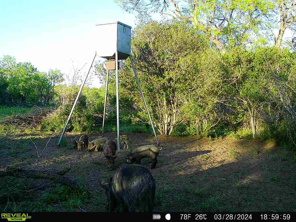 DGSP Ranch @ Ramirena Creek