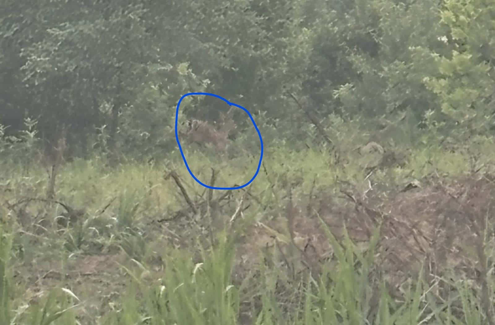 H Creek Hunting