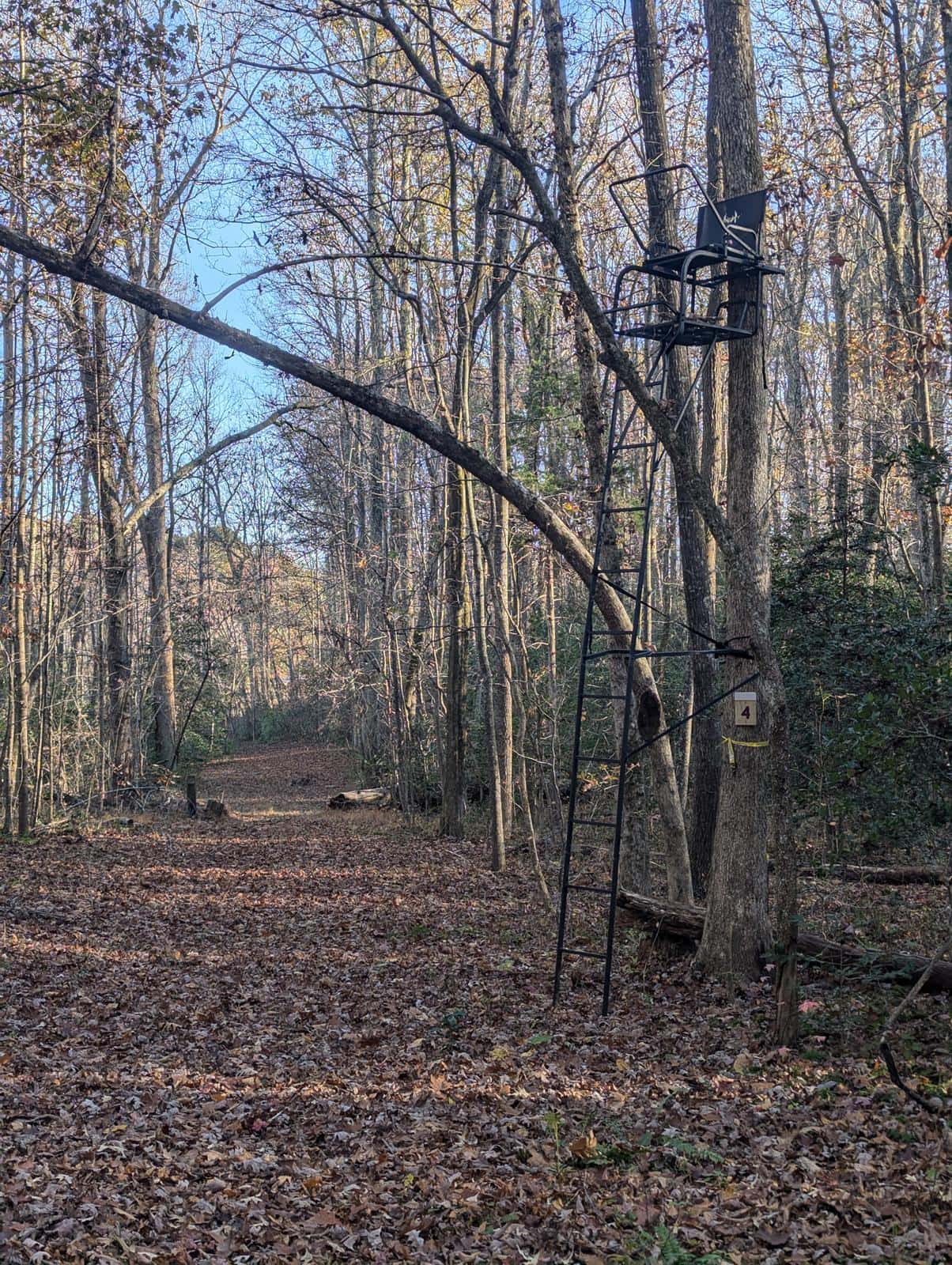 Bow Hunting at Camp T. Brady Saunders