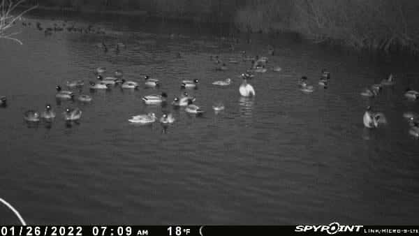 CANTON, DEER/DUCK HUNTING PROPERTY