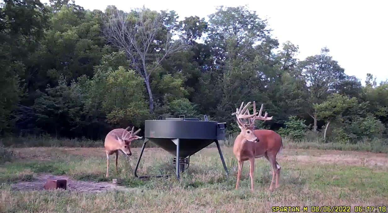 Buck Springs Unit 9