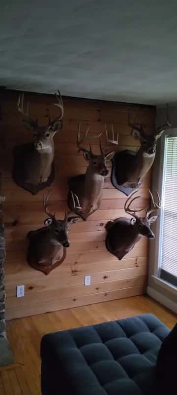 BRSR Hunting and Fishing Permit - Valid 9/1/2026 - 8/31/2027