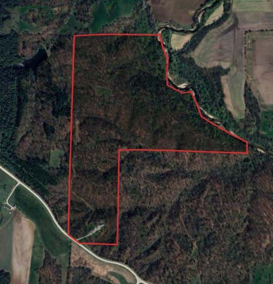 Whitetail Hunts(Zone 6)