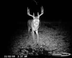 Hunting Access