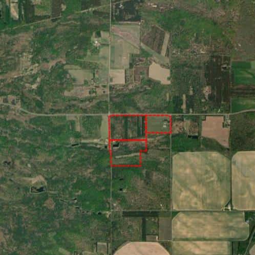 Guided Whitetail Hunt