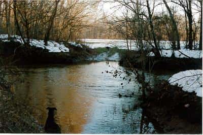 Horseshoe Farm *