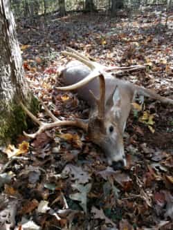 North Anna Deer Camp