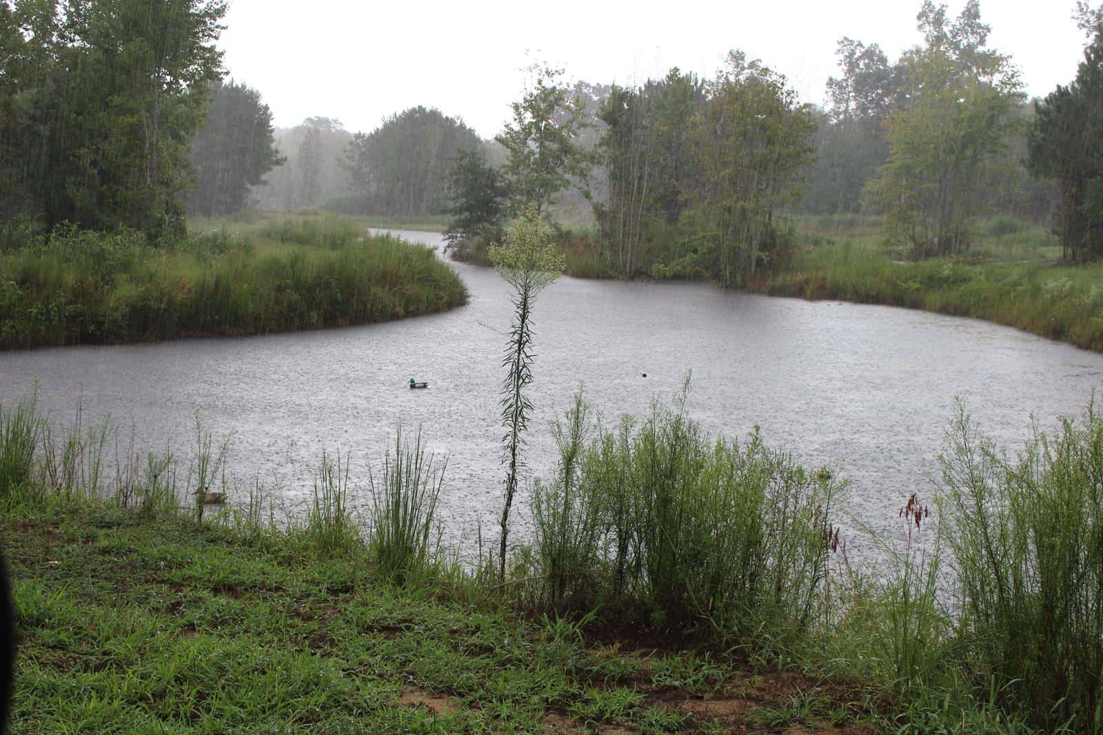Oak Hill Wildlife Preserve - Fishing *
