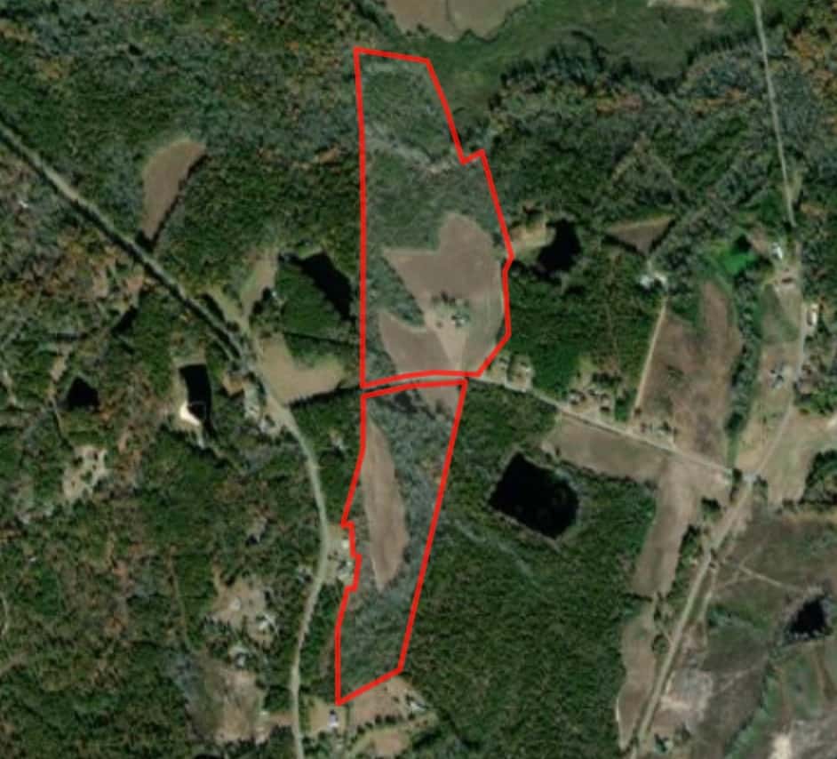 Bailey Farm