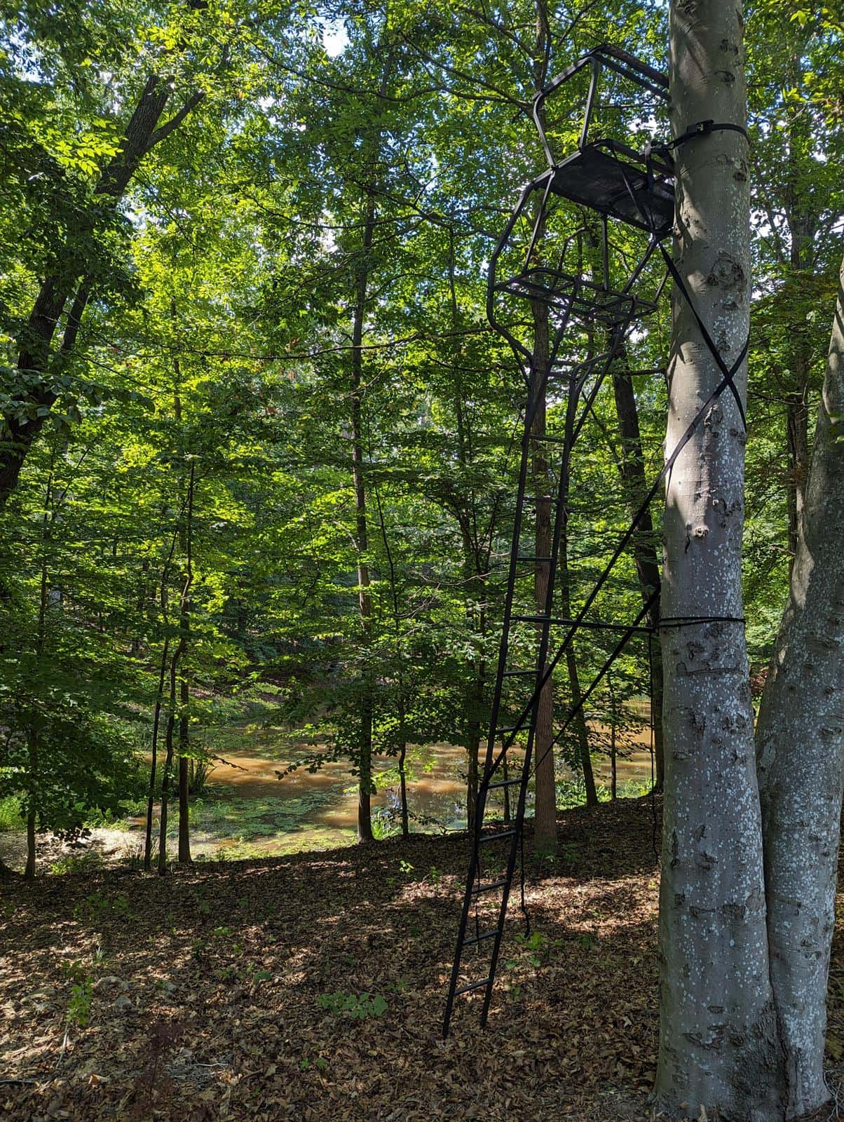 Wooded Acres