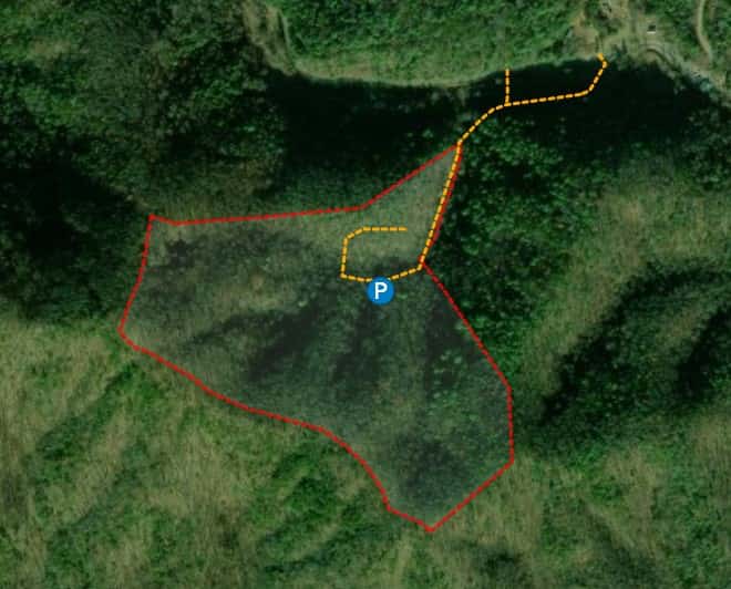 Wilhite Forest Overlook