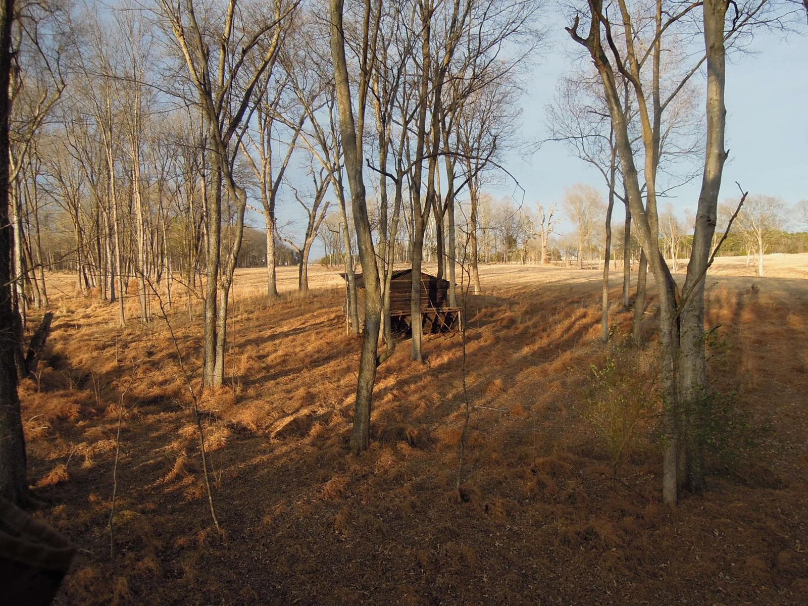 Wheeler Bridge  - Photo 1