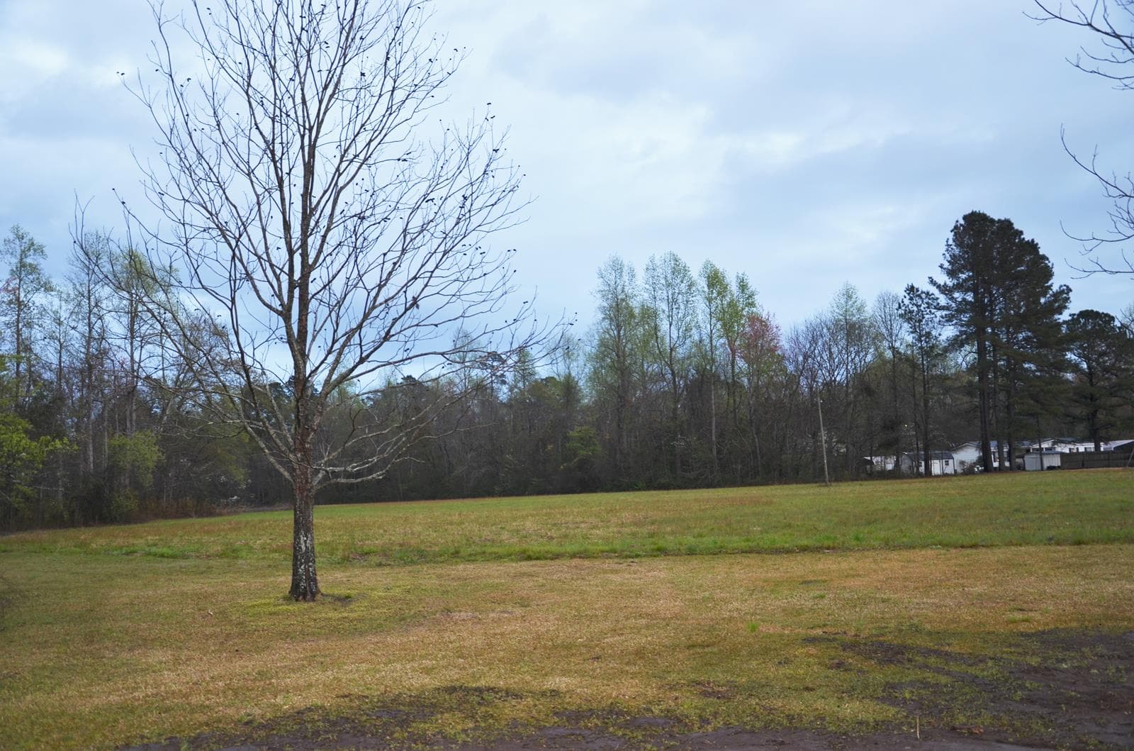 Columbus County Hunting and Fishing - Photo 1