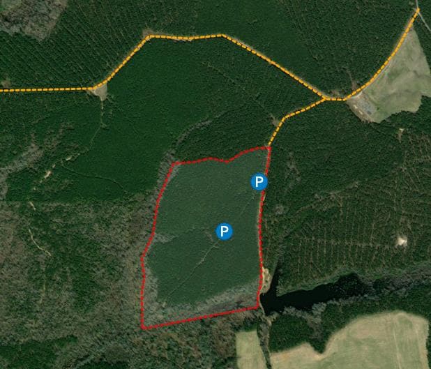 Sycamore Grove 65 - Photo 1