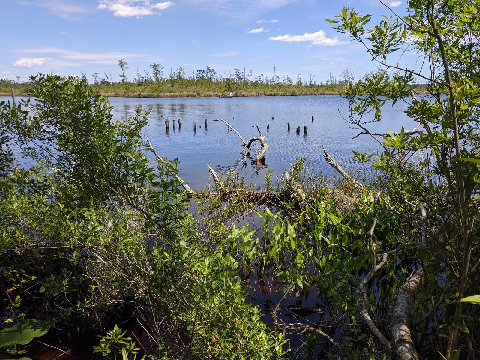 Gator Creek - Fishing and Camping - Photo 1