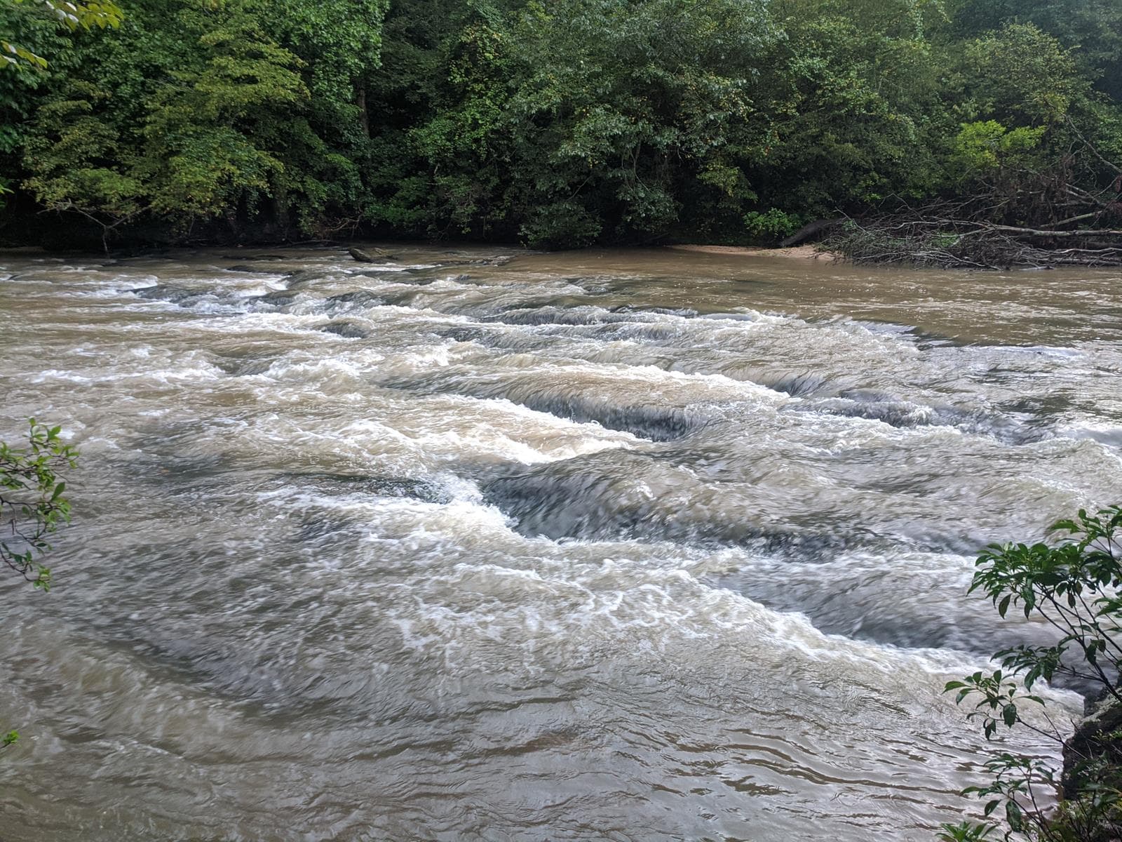 South Yadkin Rec - Camping and Fishing - Photo 1