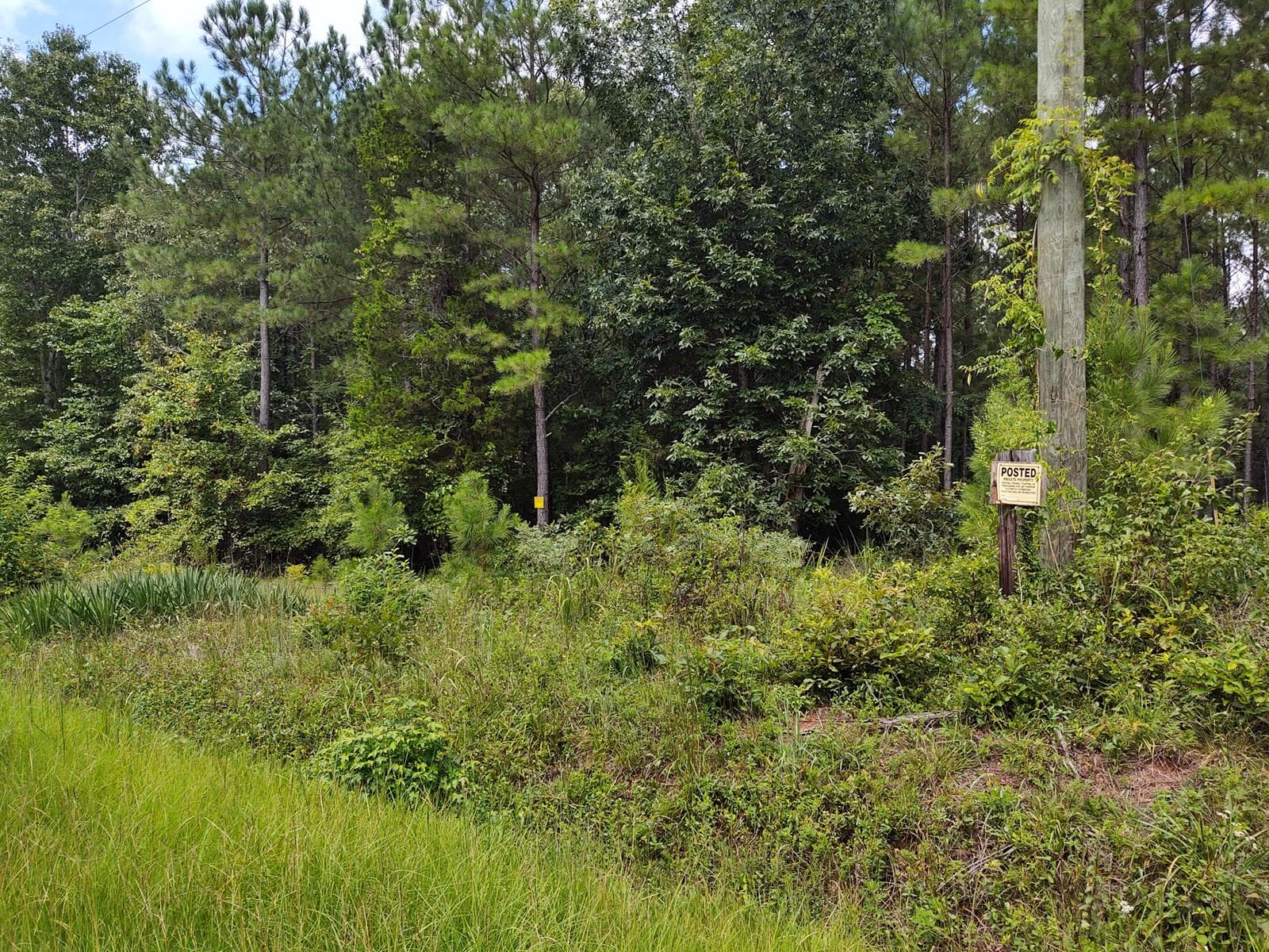 Neal Shoals Hunt West - Photo 1