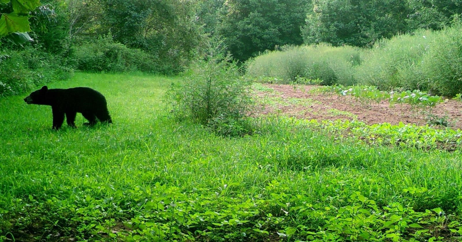 Taylor Farm 96 - Photo 1