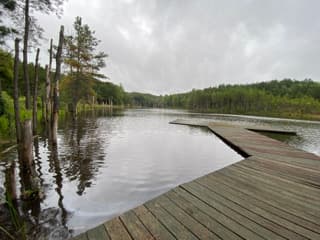 Ford Creek Camping and Fishing - Photo 1