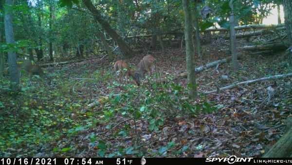 Plum Ridge South - Photo 1