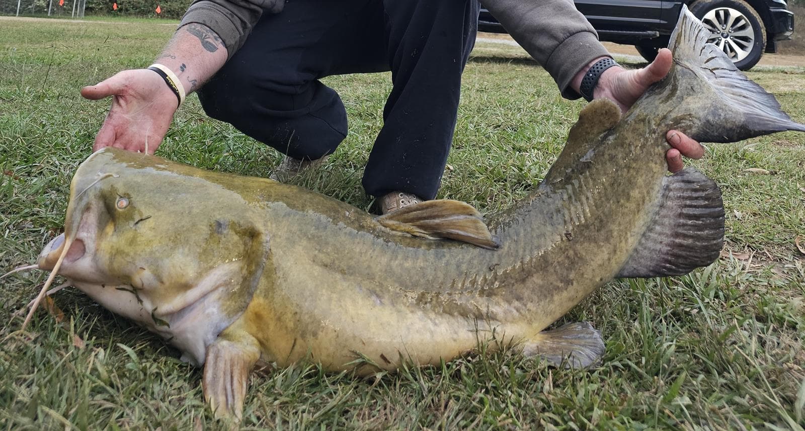 Ussery Catfish Pond - Photo 1