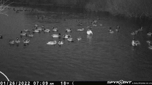 CANTON, OK DEER/DUCK HUNTING PROPERTY - Photo 1