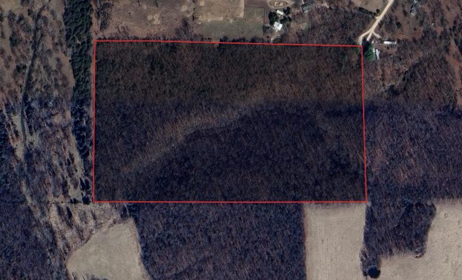 42 Acre Hunting Lease Laclede County, MO  - Photo 1