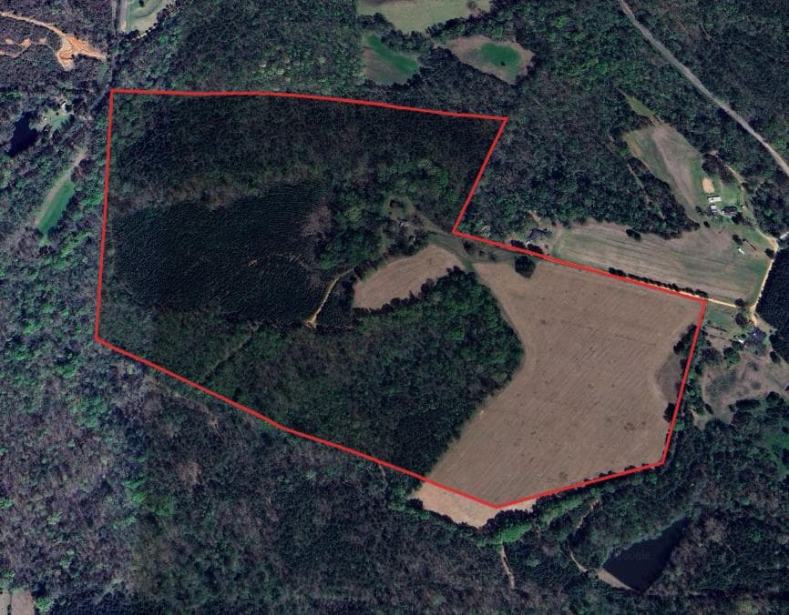 102 Acre Hale County Alabama Hunting Lease  - Photo 1