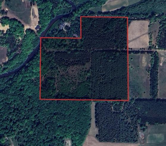 40 Acres Mason County MI Hunting Lease  - Photo 1