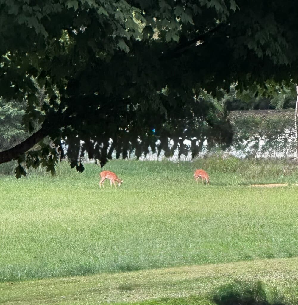 Kentucky 9 - Photo 1