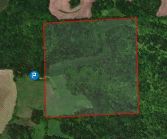40 Acre Dunn County Hunting Lease - Photo 1