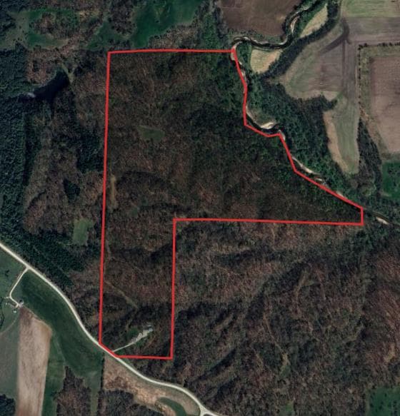 95 Acre Lee County Whitetail Hunts(Zone 6) - Photo 1